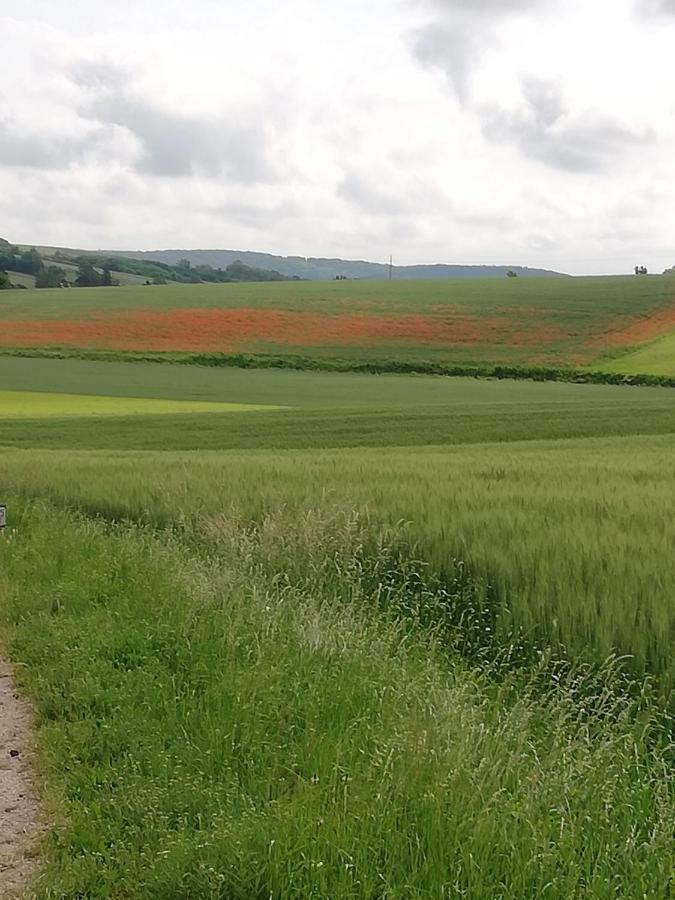Zantnhof Lejlighed Rohrabrunn Eksteriør billede